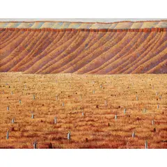Robert Maclaurin, DESERT LANDSCAPE, 2000, oil on canvas
