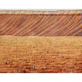 Robert Maclaurin, DESERT LANDSCAPE, 2000, oil on canvas