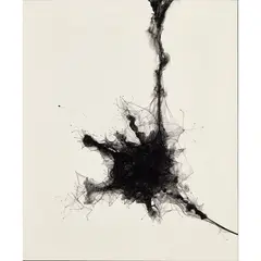 Daisuke Tsuchigahata, Boundary, 'The End of the Star', 2015, mixed media (stocking, string, pigment, chalk) on Japanese paper laid on board