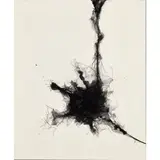 Daisuke Tsuchigahata, Boundary, 'The End of the Star', 2015, mixed media (stocking, string, pigment, chalk) on Japanese paper laid on board