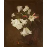 Stuart Park, A still life of white lilies