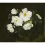 Stuart Park, White Roses