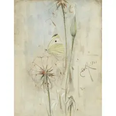 Edwin John Alexander, Butterfly and Thistledown, watercolour