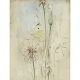 Edwin John Alexander, Butterfly and Thistledown, watercolour