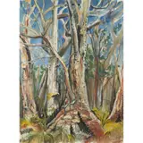 Luke Piper, TINGLE TREES, WALPOLE, WESTERN AUSTRALIA, 2003, pastel, watercolour, ink and charcoal on Arches cold pressed paper