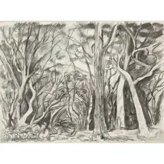Luke Piper, JERVIS BAY, NEW SOUTH WALES, AUSTRALIA, 2002, charcoal on Arches Aquarelle Satine paper