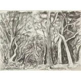 Luke Piper, JERVIS BAY, NEW SOUTH WALES, AUSTRALIA, 2002, charcoal on Arches Aquarelle Satine paper