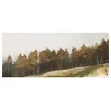 Anna King, LARCHES, YAIR, oil and pencil on paper and board