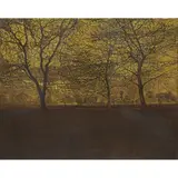 Phil Greenwood, DUSK LIGHT, etching and aquatint, 70/75