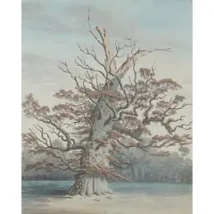 Isaac Charles Johnson, OAK TREE AT WINFARTHING, watercolour, gouache, pen and ink