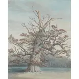 Isaac Charles Johnson, OAK TREE AT WINFARTHING, watercolour, gouache, pen and ink