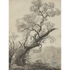 Johann Gottfried Klinsky, KNORRIGE EICHE (GNARLED OAK TREE), ink and wash on two conjoined sheets of paper