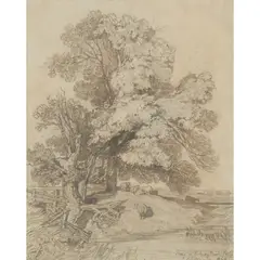 John Sell Cotman, TREES IN ROKEBY PARK, YORKSHIRE, pencil with wash and gum arabic on coloured paper