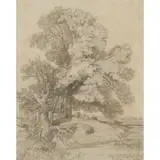 John Sell Cotman, TREES IN ROKEBY PARK, YORKSHIRE, pencil with wash and gum arabic on coloured paper