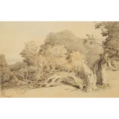 Francis Towne, IN PEAMORE PARK, pencil, pen and grey ink and watercolour on paper