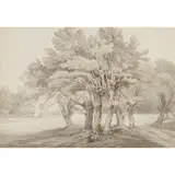 John White Abbott, STUDY OF TREES, ink and wash on two conjoined sheets of paper