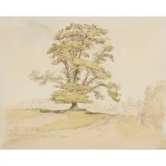 James Ward, AN ELM AT HOLT, WILTSHIRE, watercolour and pencil on paper