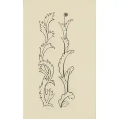 Eric Gill, 'PRICKLY LEAVES' AND 'LEAVES WITH FLOWER AT TOP' FROM TROILUS AND CRISEYDE, 1927, woodcut on India paper