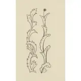 Eric Gill, 'PRICKLY LEAVES' AND 'LEAVES WITH FLOWER AT TOP' FROM TROILUS AND CRISEYDE, 1927, woodcut on India paper