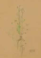 Charles Rennie Mackintosh, 'BROOKWEED', 1901, pencil and watercolour