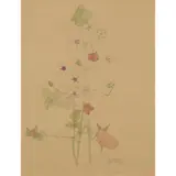 Charles Rennie Mackintosh, 'PIMPERNEL', 1901