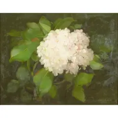 HYDRANGEA by Stuart Park, oil on canvas, sold Sep 2024