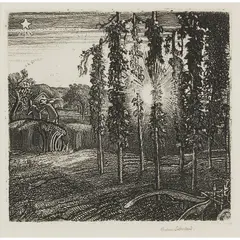 Graham Sutherland, CRAY FIELDS, 1925 (TASSI 19), Etching