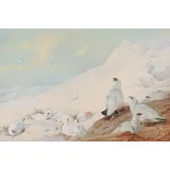 Archibald Thorburn, PTARMIGAN IN THE SNOW, watercolour