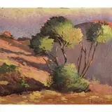 Louise Cunningham, Desert Trees, Oil on board