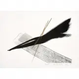 Toko Shinoda, Zest, Lithograph