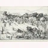 Mahonri Young, Untitled, Etching
