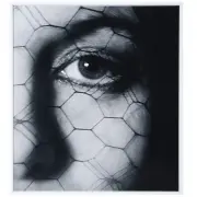 Memory by John Gutmann, Gelatin silver print, sold Jul 2020