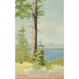 Lorenzo Palmer Latimer, Lone Tree by Lake Tahoe, watercolor on paper