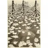 Mc Escher, Three Worlds, Lithograph