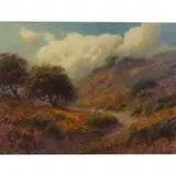 Mark Geller, Poppy Serenade, oil on canvas
