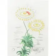 Salvador Dalí, Marguerite-Chrysantemum Frutescens (from Flordali- Flora Dalinae), etching