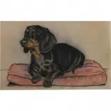 Gladys Emerson Cook, Schnatzie, pastel
