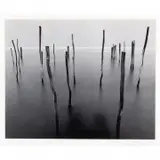 Michael Kenna, Docking Poles, Venice, Italy