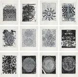 Terry Winters, Atmospheres (F. & S. 59-70), 2014, The complete set of 12 monumental screenprints in colors with water-based and UV inks, on Lanaquarelle paper, the full sheets