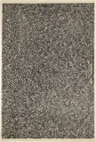 Tara Donovan, Untitled, 2006, Rubber band matrix relief print, on Hiromi mingei Gampi paper, with full margins