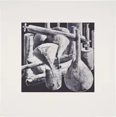 Tony Cragg, Laboratory Still Life No. 4, 1988, Etching and aquatint, on Somerset Textured paper, with full margins