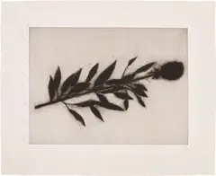 Black Rose, Oct., 1989, from Black Roses by Donald Sultan, 1989-90, Aquatint, on Twinrocker Paper, with full margins, sold Apr 2025