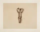 Jim Dine, Tinsnip (W. 145), 1973, Etching and lithograph in colors, on Arches Cover paper, with full margins