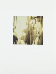 Cy Twombly, Untitled (Detail of Painting), from Re-Object/Mythos, 2002/2007, Ditone print in colors, on wove paper, with full margins