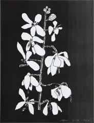 Untitled by Jonas Wood, 2024, Xerox print, on thin wove paper, the full sheet, sold Apr 2025