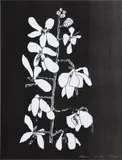 Jonas Wood, Untitled