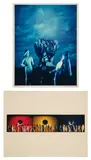 Laurie Simmons, Tourism: Bikini Atol; and Party Picture