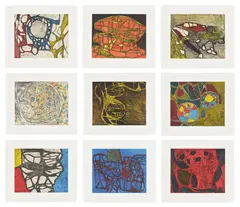 Terry Winters, Models for Synthetic Pictures: nine plates (S. 97-98, 100, 102, 104-108, A. & K. 26.01-26.02, 26.04, 26.06, 26.08-26.12), 1994, Nine etching and aquatints in colors, on Gampi Chine collé to Lana Gravure paper, with full margins, contained in the original paper folder with printed title page, text and colophon, all loose (as issued), all contained in the original dark blue linen-covered portfolio