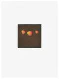 Yōzō Hamaguchi, Three Butterflies (C. 176-9), 1985-91, Mezzotint in colors, on Rives BFK paper, with full margins