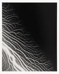 The Long Never by Hiroshi Sugimoto, 2014, The complete portfolio comprising one gelatin silver print Lightning Fields 304, on photo paper, backed with wove paper , offered Jun 2025